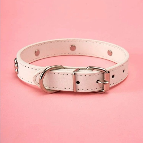 NWT PET COLLAR WHITE WITH SILVER BONES - Picture 2 of 4